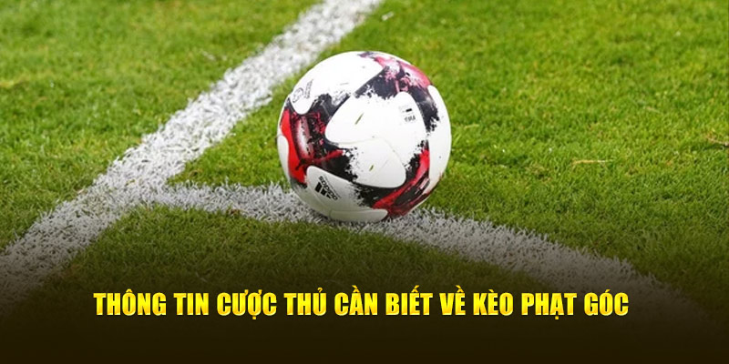 Thông tin cược thủ cần biết về kèo phạt góc